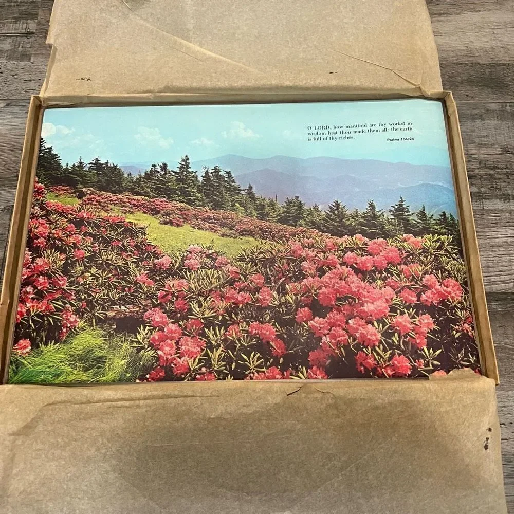 Set of 6 vintage permanent plastic coated inspirational placemats